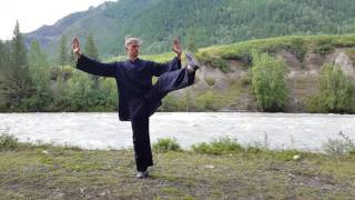 8 forms Taijiquan. Front view. 8 форм тайцзицюань - вид спереди