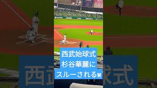 無職の杉谷さん、アグーに華麗にスルーされるw #baseball #杉谷拳士 #プロ野球