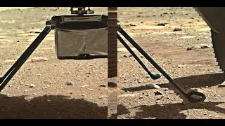 Mars Perseverance rover: Sol 39 image gallery
