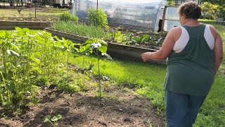 2nd Garden & Homestead Tour of The Season