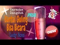 Karaoke Dangdut Bantal Guling Bisa Bicara - Lady Ross [Nada Pria]