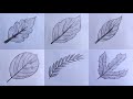 Easy 6 Leaf drawing ideas step by step || Pencil drawing in a easy drawing || Leaf drawing