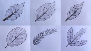 Easy 6 Leaf drawing ideas step by step || Pencil drawing in a easy drawing || Leaf drawing