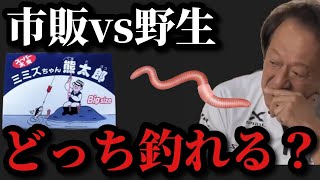 【村田基】市販と野生のミミズはどちらが良く釣れる？【村田基切り抜き】