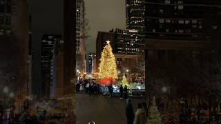 Christmas tree 🎄, Millennium Park ,downtown Chicago