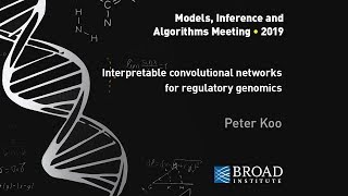 MIA: Peter Koo, Interpretable convolutional networks for regulatory genomics