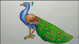 how to draw a peacock step by step,easy peacock drawing,how to draw a peacock by oil pastel color