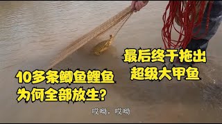 黄河拖出10多条鲫鱼鲤鱼小伙为何全部放生？最后拖出黄金大甲鱼