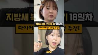 다이어터를 위한 다이어트 식단앱 추천 (몇년째 써옴)