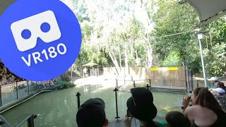 [VR180 VR 3D] Crocodile Attack Show Pt1 @ Hartley's Crocodile Adventures | Family Virtual Reality