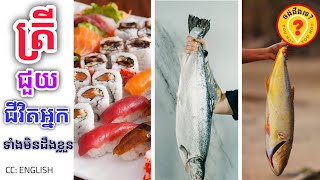 Advantages of eating fish for human health អត្ថប្រយោជន៍របស់សាច់ត្រី 1080p