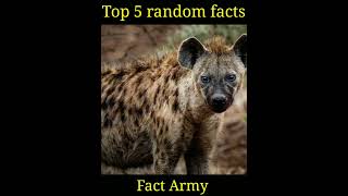 Top 5 random facts #shorts #facts#youtubeshorts #viral #trending #animals