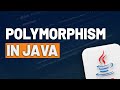 Polymorphism in Java | Definition and How to Use it in the Code