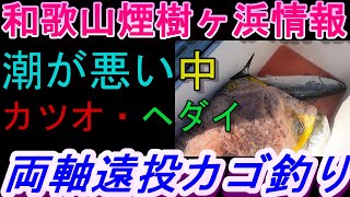 11-03　煙樹ヶ浜釣り情報・取材編