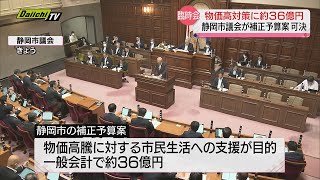 静岡市議会臨時会「物価対策の補正予算案」が可決