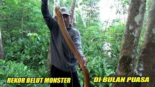 SANG PENAKLUK BELUT MONSTER || REKOR BELUT TERBESAR DIBULAN PUASA