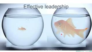 "Leadership: The What? The Why?" by Moises Auron, MD, FAAP, FACP, SFHM