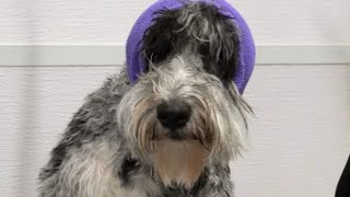 The TRUTH about DOODLES | Total transformation