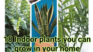 18 Indoor Plants Grow without Sunlight || अपने घर में लगाइए यह 18 इनडोर प्लांट्स ||