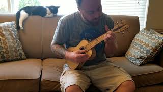 Little timber LT027 concert ukulele demo