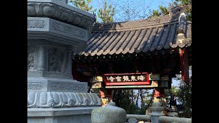 韩国釜山 Beomeosa 梵鱼寺 Hae Dong Yong Gung Temple 海东龙宫寺 #Busan, Korea