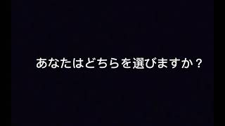 西の国VS東の国