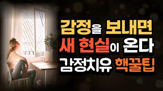 감정조절 잘하는 법은 아주 쉽습니다 감정을 치유하면 현실도 치유됩니다.