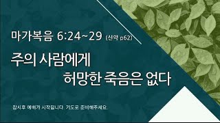 [포항큰숲교회] 2023.7.23 오후찬양예배