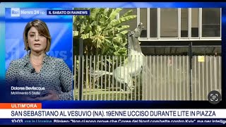 Dolores Bevilacqua in collegamento con Rainews24 - 03/11/2024