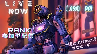 ［APEX参加型］アリラン参加型配信　目指せマスター！　cs限定　初見さん、常連さん大歓迎