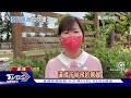 澎湖也下雪 漫天「雪花」飛上岸成奇景｜tvbs新聞