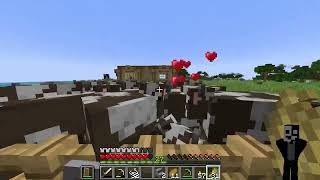 Chill Minecraft Stream 6