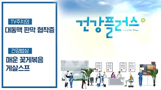 제철 꽃게 맛도 최고 영양소도 듬뿍! | 건강플러스 | 10월 26일