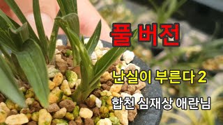 풀버전-난실이 부른다 2-합천 심재상 애란님