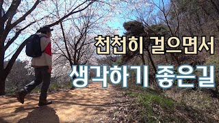 초보트레킹 | 계족산 황톳길 트레킹 | 장동산림욕장 관리소 - 산림욕장 - 이현동방향 - 절고개 - 계족산성 - 원점회귀(총 14.5km)