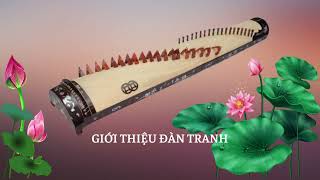 Vietnamese 's đàn tranh | School Music Tramdi