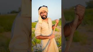 आंधी आ गी आंधी । #shorts #youtubeshorts  #rubygourrajasthani