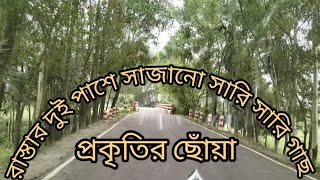 রাস্তার দুই পাশে সাজানো সারি সারি গাছ। প্রকৃতির অপরূপ সৌন্দর্যের মাঝে রোড