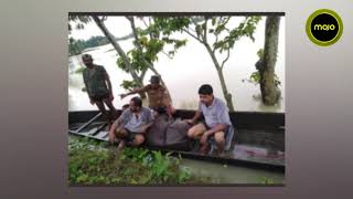 Assam Floods Causes Tragic Loss And Destruction