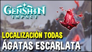 Localización de TODAS las ÁGATAS ESCARLATA (Mapa \u0026 Marcas de tiempo en descripción) | Genshin Impact