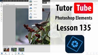 Photoshop Elements Tutorial - Lesson 135 - Selection Tools
