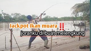 Airnya gak meyakinkan,ini yang di dapat.@ade bolang lang.