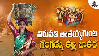 Tirupati gangamma jatara|Tataiah gunta gangamma temple tirupati|Mee Swathiappu