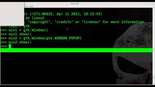 Python GTK Remove Boarders and Positioning - Linux