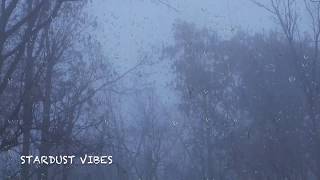 Rain & Thunder Sounds in the Foggy Forest | Thunderstorm Sounds for Sleep, Insomnia & Relaxing