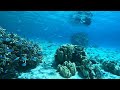 Tonga Snorkelling - Another amazing world of beautiful underwater location