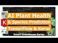 Predict Plant Species & Health Using Deep Learning | TensorFlow & Keras Tutorial