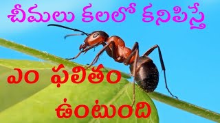 చీమలు కలలో కనిపిస్తే  ఎం ఫలితం ఉంటుంది | చీమలు కలలో కనిపిస్తే | #Yogi Srinivas | #Swapna Phalam