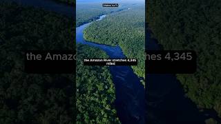 Longest River in the World #shorts #amazon #river #egypt #rivers #geography #nile #brightside #facts