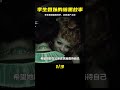 1972捷克暗黑哥特電影：孿生姐妹花為了巨額遺產骨肉相殘 阿布的童話世界 兒童故事 中文童話 童話故事 漫畫